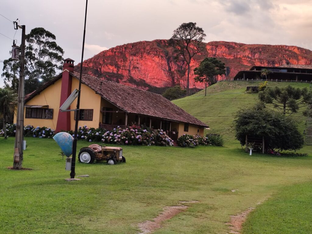 foto do canela de ema a com a montanha vermelha